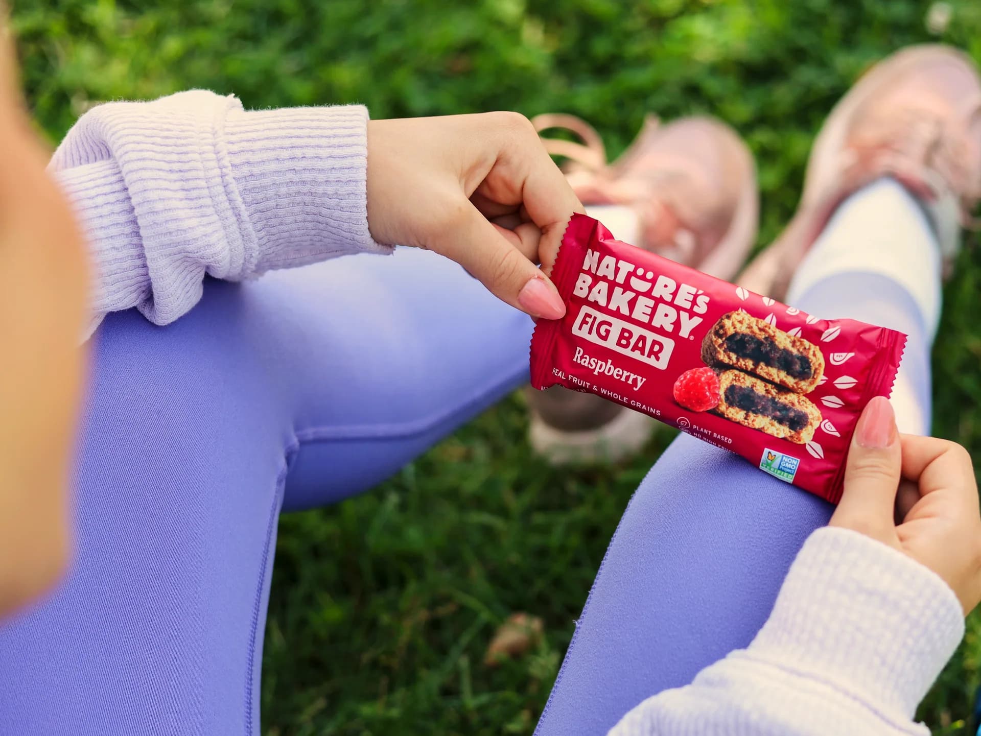 🌾Nature’s Bakery 14-Day Wholesome Energy Challenge challenge banner